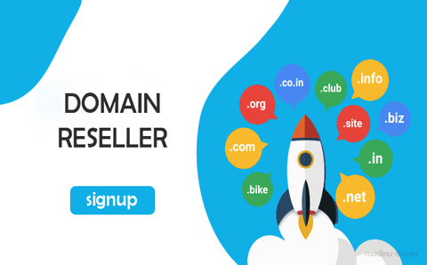 Domain Reseller