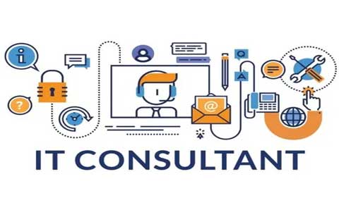 IT Consultancy