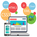 CUSTOM WEB DEVELOPMENT