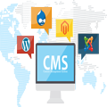 CMS BASED WEBSITE DEVELOPMENT